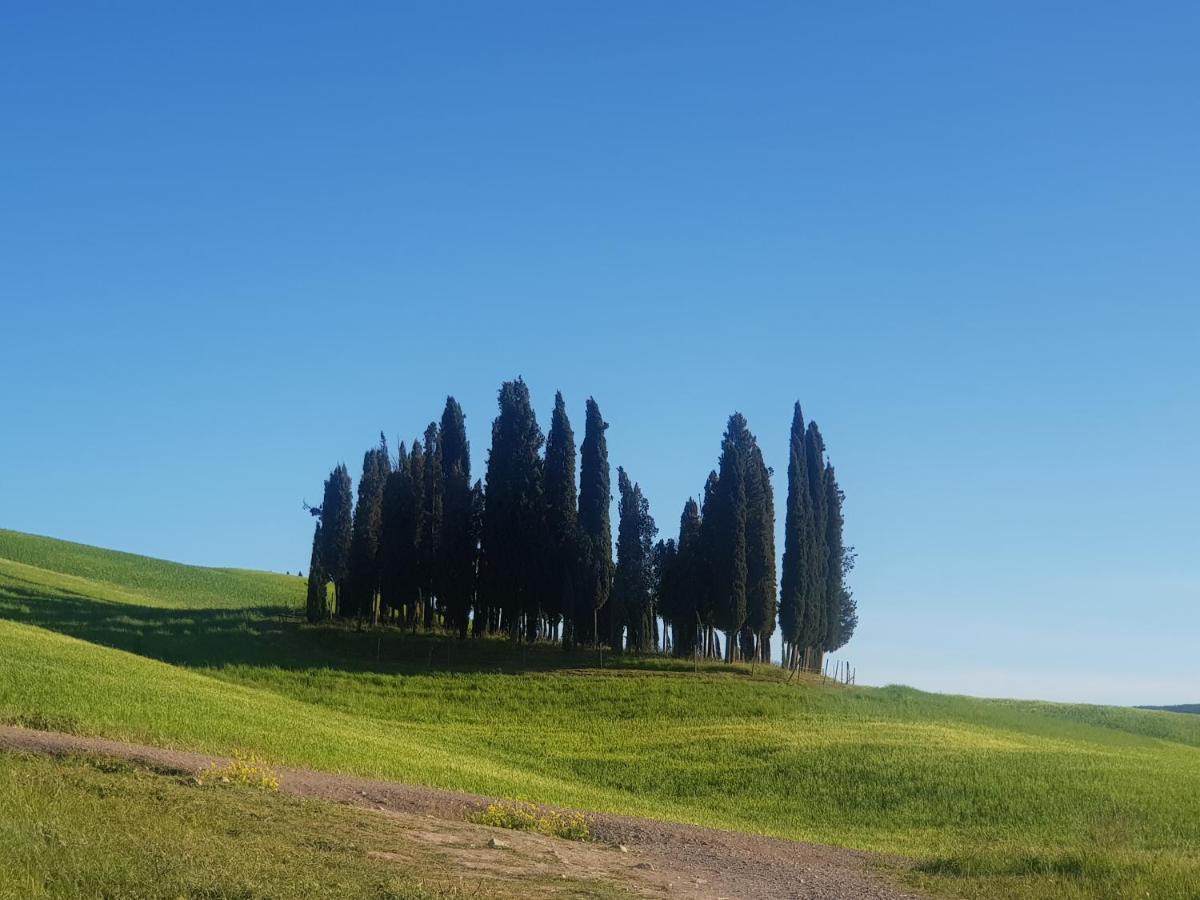 Dimora In Francigena Hotel San Quirico d'Orcia Exterior photo